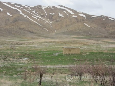 آبسالی سرطاق